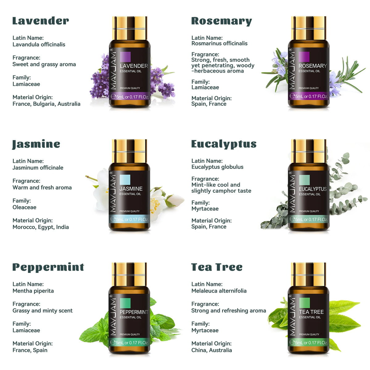 MAYJAM Essential Oils Aromatherapy Gift Set With Botanical Scents