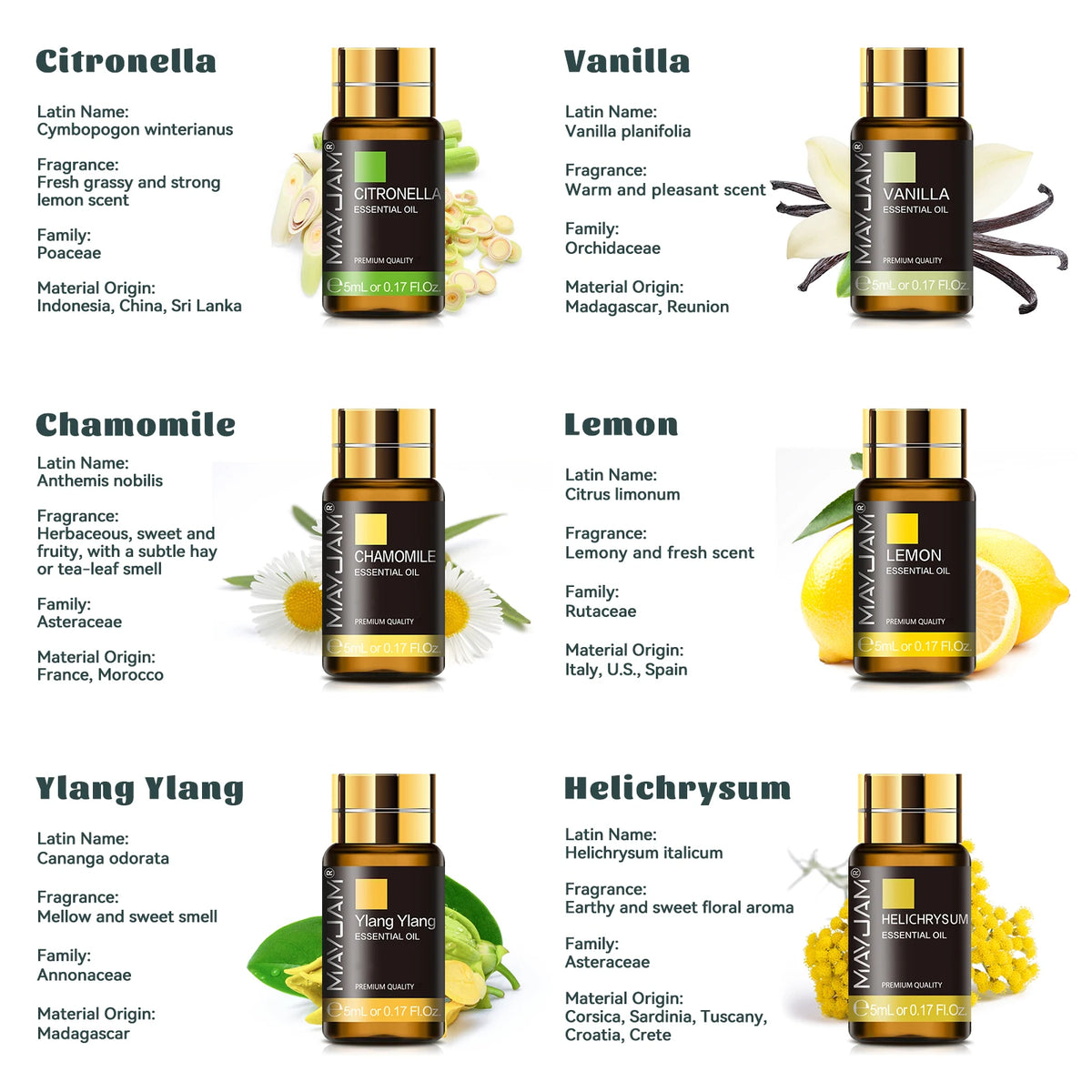 MAYJAM Essential Oils Aromatherapy Gift Set With Botanical Scents