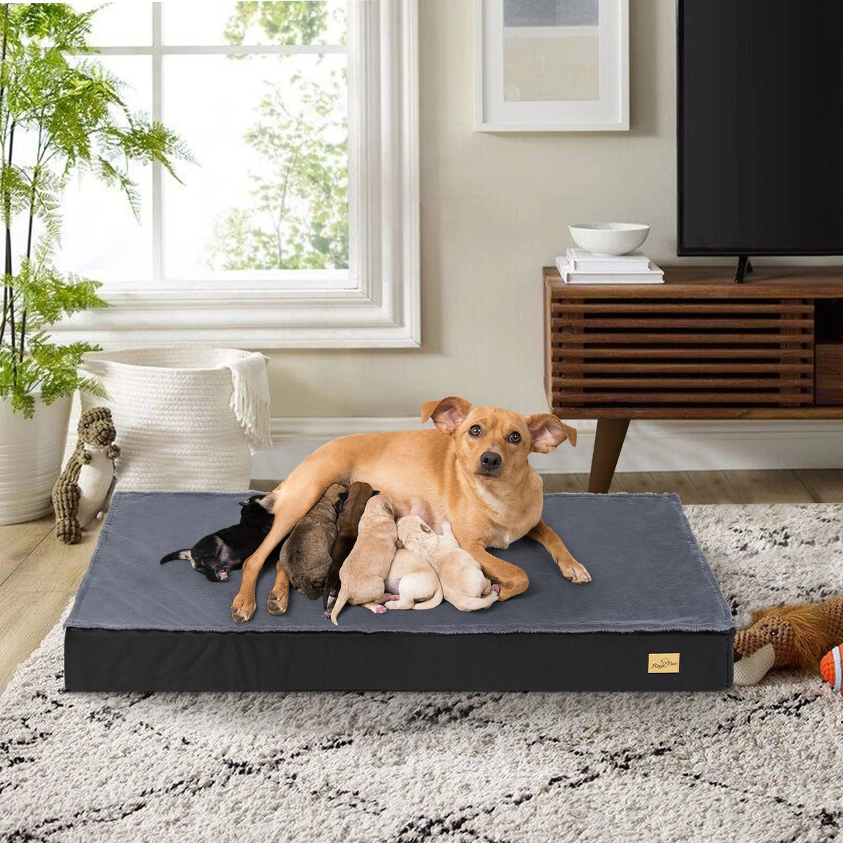 BINGOPAW Orthopedic Waterproof Dog Bed With Washable Non Slip Bottom