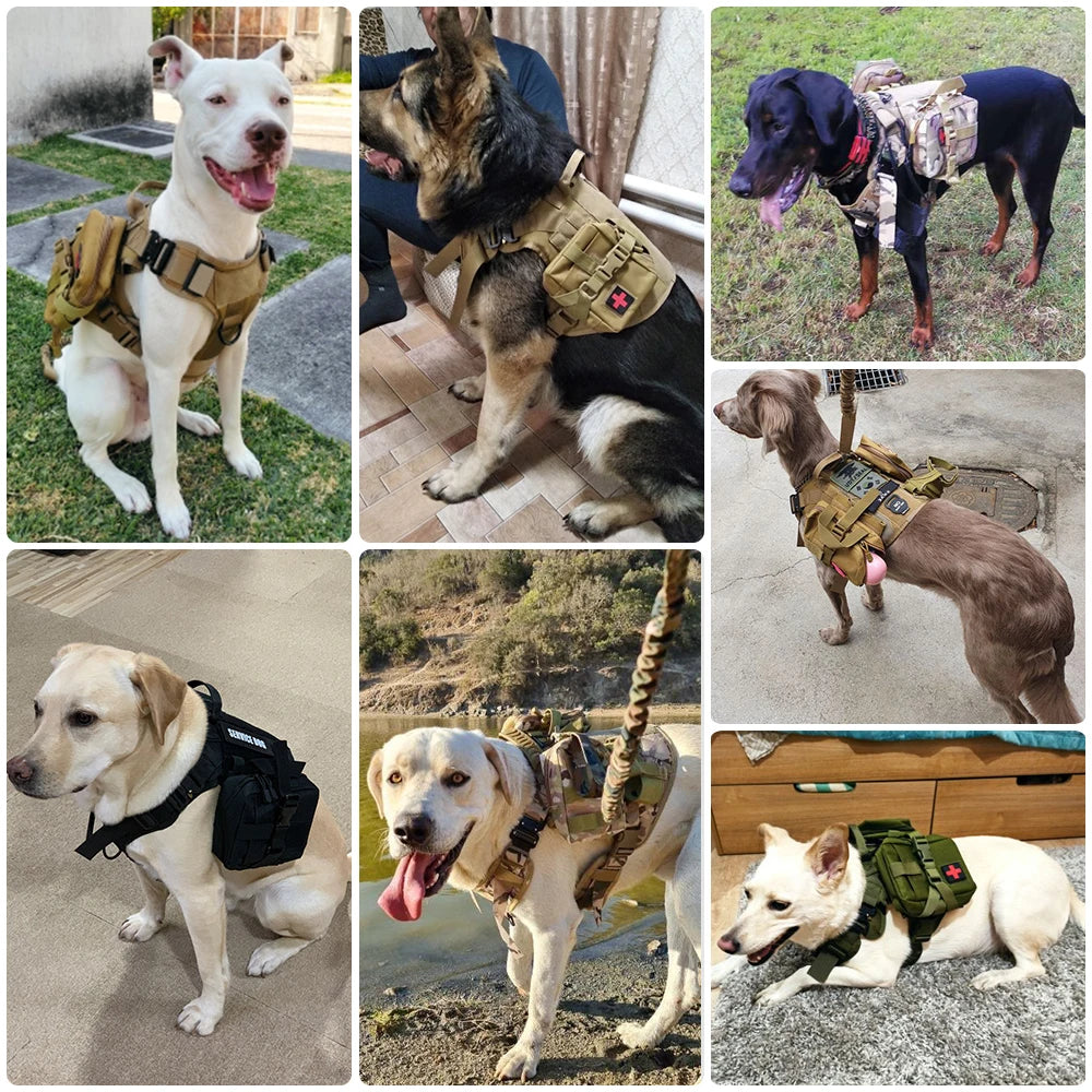 PETRAVEL Tactical Dog Harness And Leash Set For Training Walks