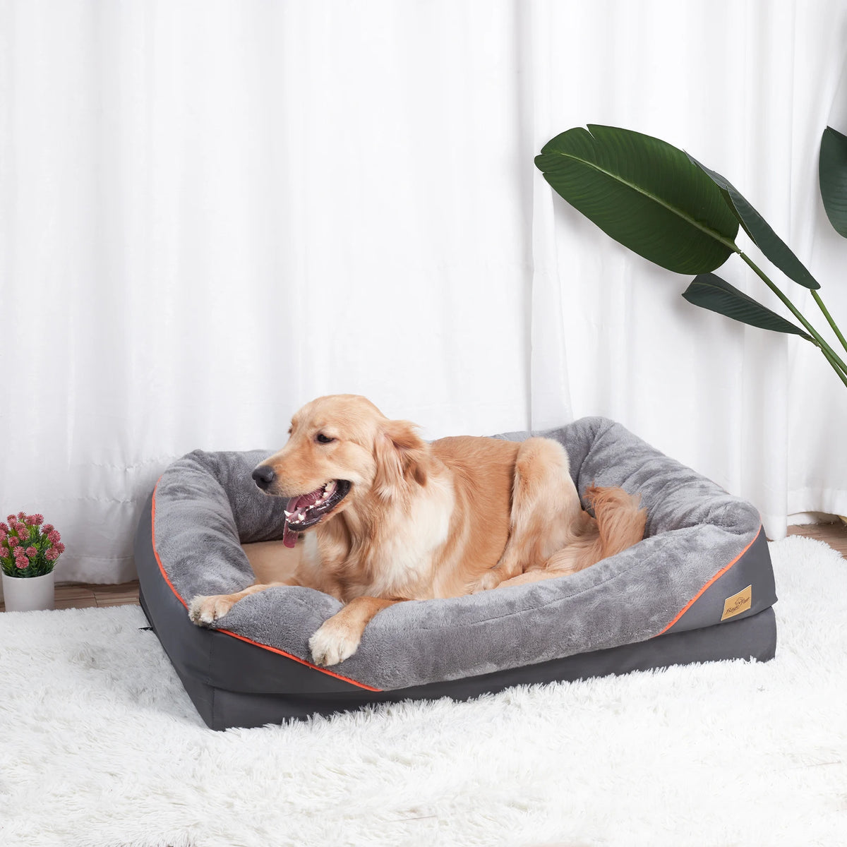 BINGOPAW Waterproof Dog Bed With Removable Washable Fleece Cover