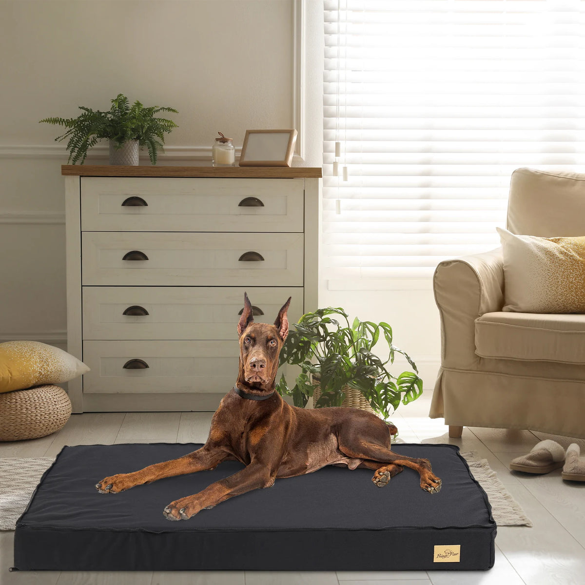 BINGOPAW Orthopedic Waterproof Dog Bed With Washable Non Slip Bottom